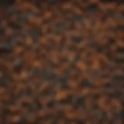 Magnified view of larvae in forest ecosystem