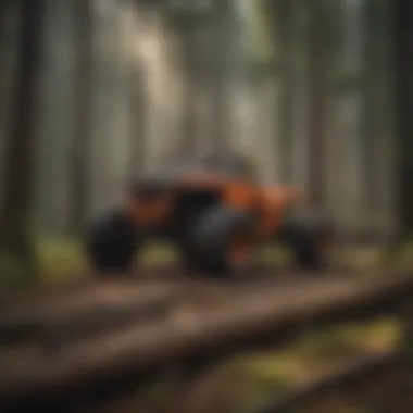 Shaping the Future of Forestry Forest Industry Evolution - Robert Avila's Influence