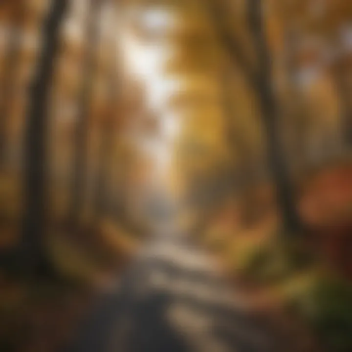 A panoramic landscape of the Legacy Trail winding through vibrant autumn foliage.