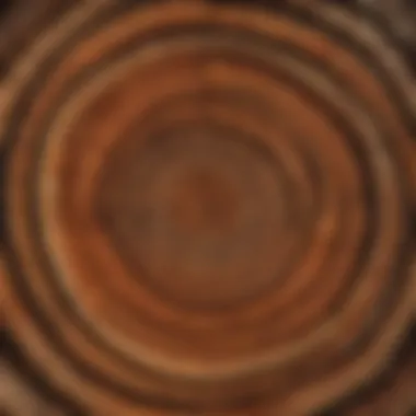 Legacy of Growth and Resilience Tree Rings - Symbolizing Growth and Legacy