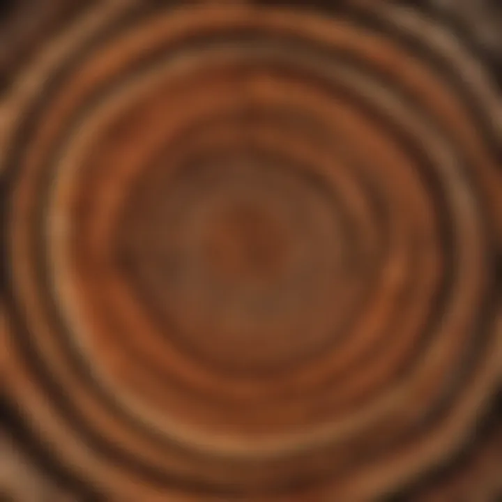 Legacy of Growth and Resilience Tree Rings - Symbolizing Growth and Legacy