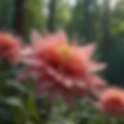 Detailed close-up of Linnea flower seeds in bloom