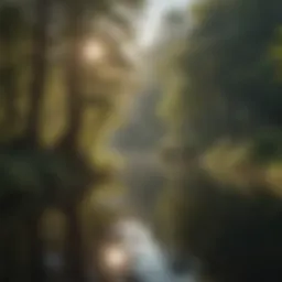 Enchanting Reflections