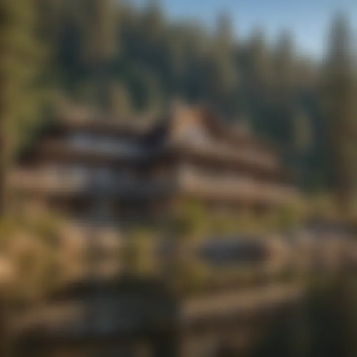 Luxurious hotel with stunning views of the forest