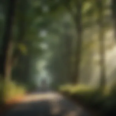 Lush Forest Canopy on Kentucky Biking Trail