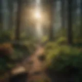 Lush forest ecosystem