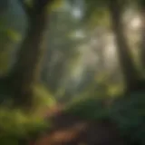 Lush Forest Landscape in Roseburg, Oregon