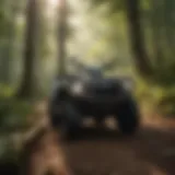 Exploring the Lush Forests of Arkansas