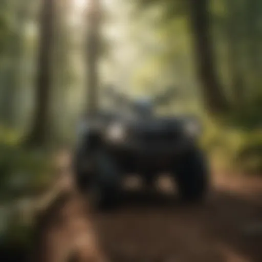 Exploring the Lush Forests of Arkansas