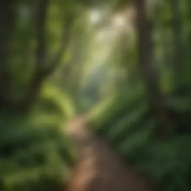 Lush Greenery Along Galena Hiking Path