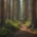 Lush Pine Forest in High Sierra