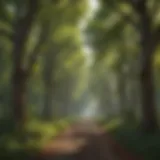 Lush Tree Canopy Before Removal