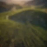 Aerial view of lush vineyards in Okanogan County