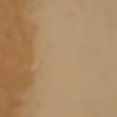 Luxurious Almond Toast Paint Color Palette for Home Décor
