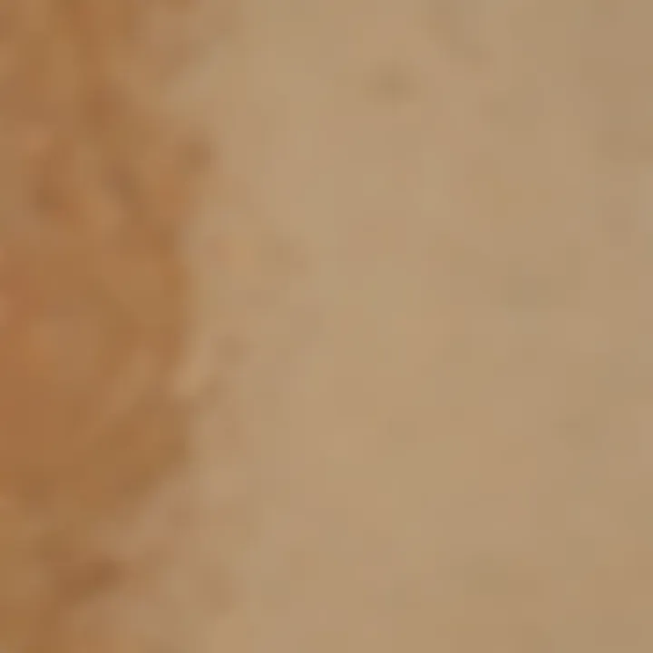 Luxurious Almond Toast Paint Color Palette for Home Décor
