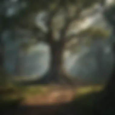 Mahaguni Trees Thriving in Their Natural Habitat Mahaguni trees in a dense forest setting