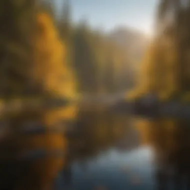 Golden Hour Majesty: Sunset Reflections on the River Sunset casting a golden glow over the tranquil waters of Main Salmon River