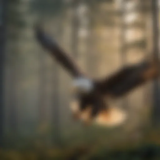 Majestic Bald Eagle Soaring in the Sky