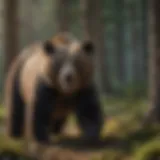 Wild Bear Roaming Freely Majestic bear in its natural habitat