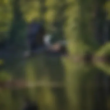 Majestic Blue Heron in Flight over Roberts Lake