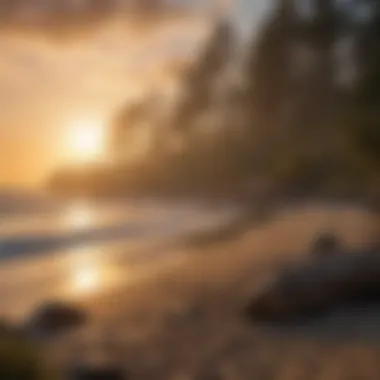 Majestic Coastal Sunset at Newport Campsite