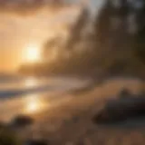 Majestic Coastal Sunset at Newport Campsite Majestic Coastal Sunset at Newport Campsite