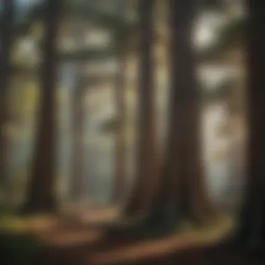 Majestic Cypress Trees in Southern Air