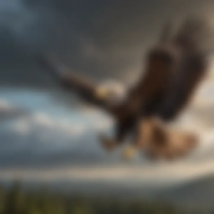 Majestic Eagle Soaring in Vast Skies