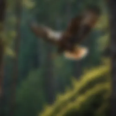 Majestic Eagle soaring over Wenatchee's lush forests