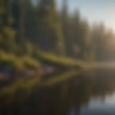 Dusk Beauty in Forest Lake Majestic Forest Lake at Dusk