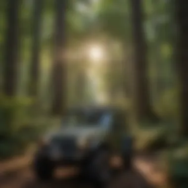 Majestic forest at Red River ATV Park