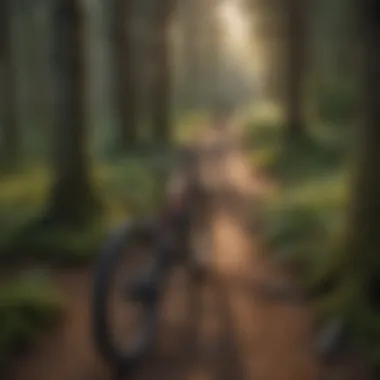 Majestic Forest Trail