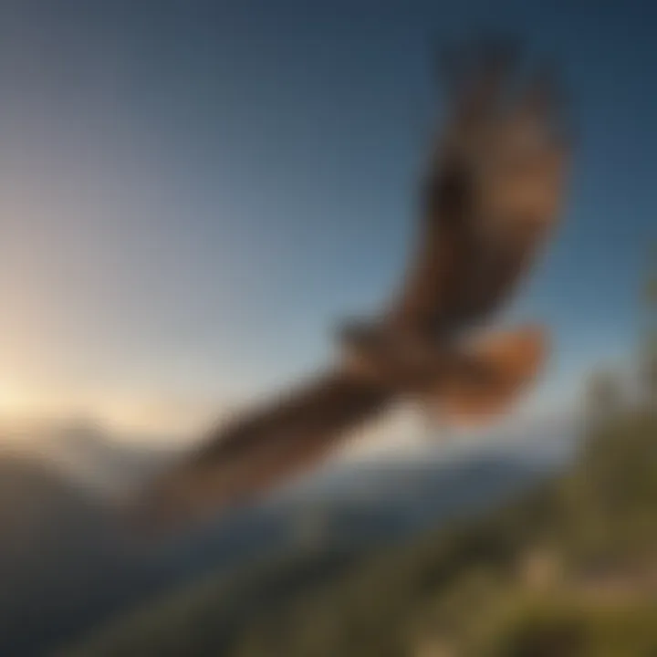 Majestic Hawk Soaring Above Mt. National Park