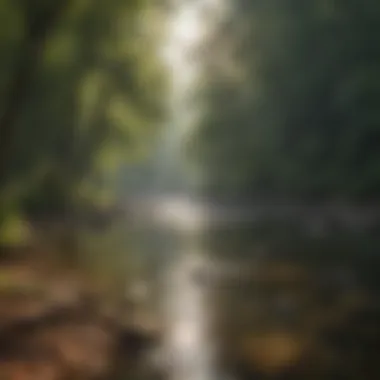 Tranquil Beauty of a Hiwassee River Bend Majestic Hiwassee River Bend