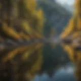 Majestic Mountain Reflections