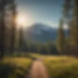 Majestic Mountain View at Eldora Majestic Mountain View at Eldora