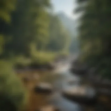 Majestic Mountain Views in Asheville NC