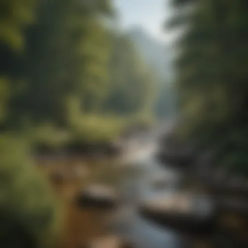 Majestic Mountain Views in Asheville NC