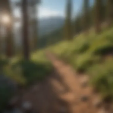 Majestic mountain vista along the Colorado Trail