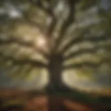 Majestic Oak Tree in American Forest