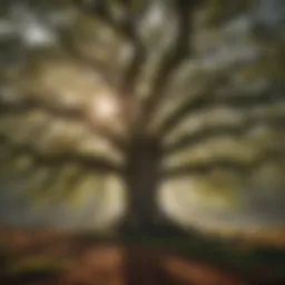 Majestic Oak Tree in American Forest