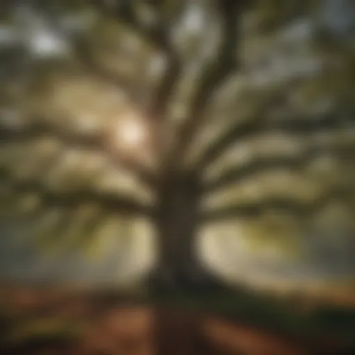 Majestic Oak Tree in American Forest