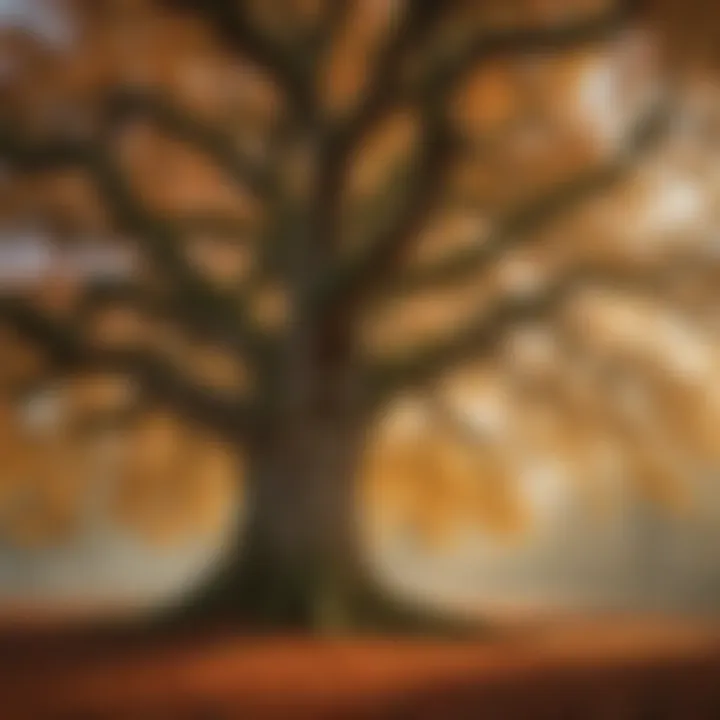 Majestic oak tree in autumn