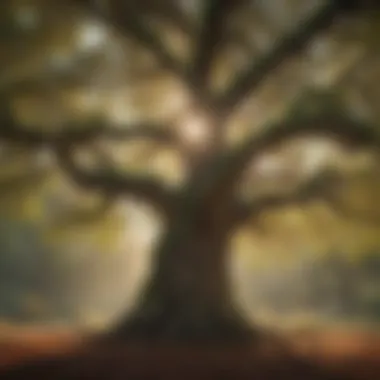 Majestic Oak Tree Providing Shelter for Hummingbirds