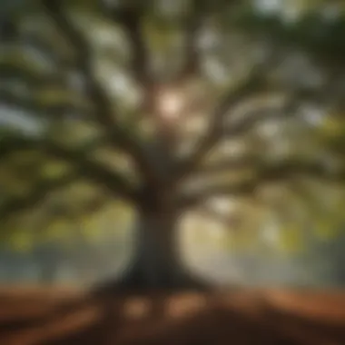 Majestic Oak Tree at Windy Point Park