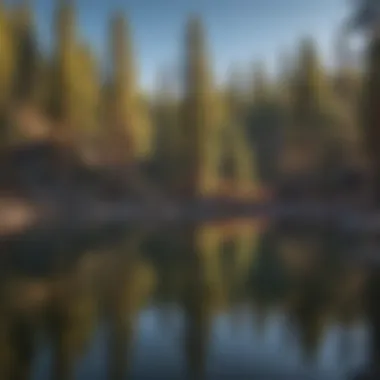 Enchanting Reflections of Pine Trees in Big Bear Lake Majestic Pine Trees Reflecting in Big Bear Lake