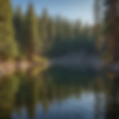 Majestic pine trees reflecting on crystal-clear lake at Lake Tahoe campground