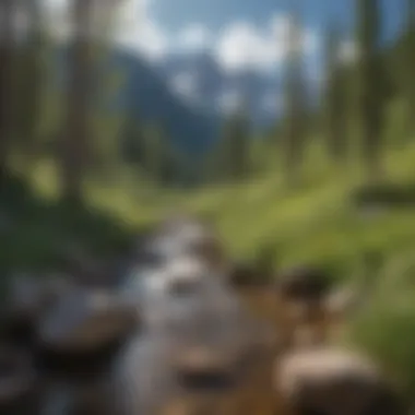 Majestic Rocky Mountain landscape in Vail during May