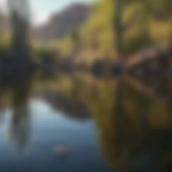 Majestic Saguaro Cacti reflecting in the crystal-clear waters