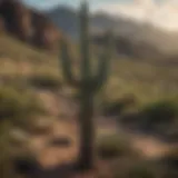 Majestic Saguaro Cactus in Arizona Desert